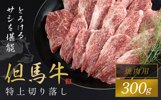 【但馬牛】特上切り落し300g(焼肉用) / AS1BB19