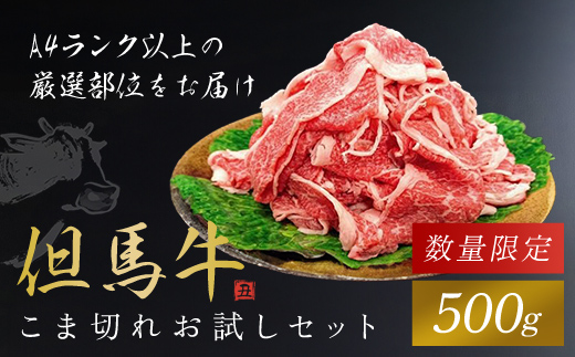 ＼数量限定／【但馬牛】こま切れお試しセット 500g AS1BB34