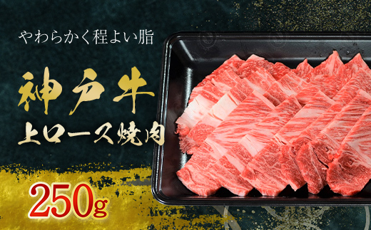 神戸牛上ロース焼肉　250g (AG040) AS36BB54