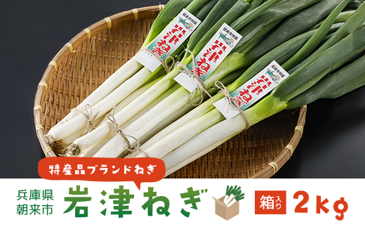 朝来市特産「岩津ねぎ」2kg（箱入り） AS4AC3