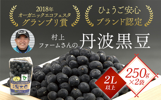 村上ファームさんの丹波黒豆250g(2L以上)×2個セット 村上ファーム 丹波黒大豆 丹波黒豆 丹波黒 黒豆 黒大豆 大豆 ダイズ 黒ダイズ クロマメ くろまめ 大粒 有機JAS認証 無農薬栽培 煮豆 おせち おせち料理 お正月 正月料理 兵庫県 朝来市 AS1BA19