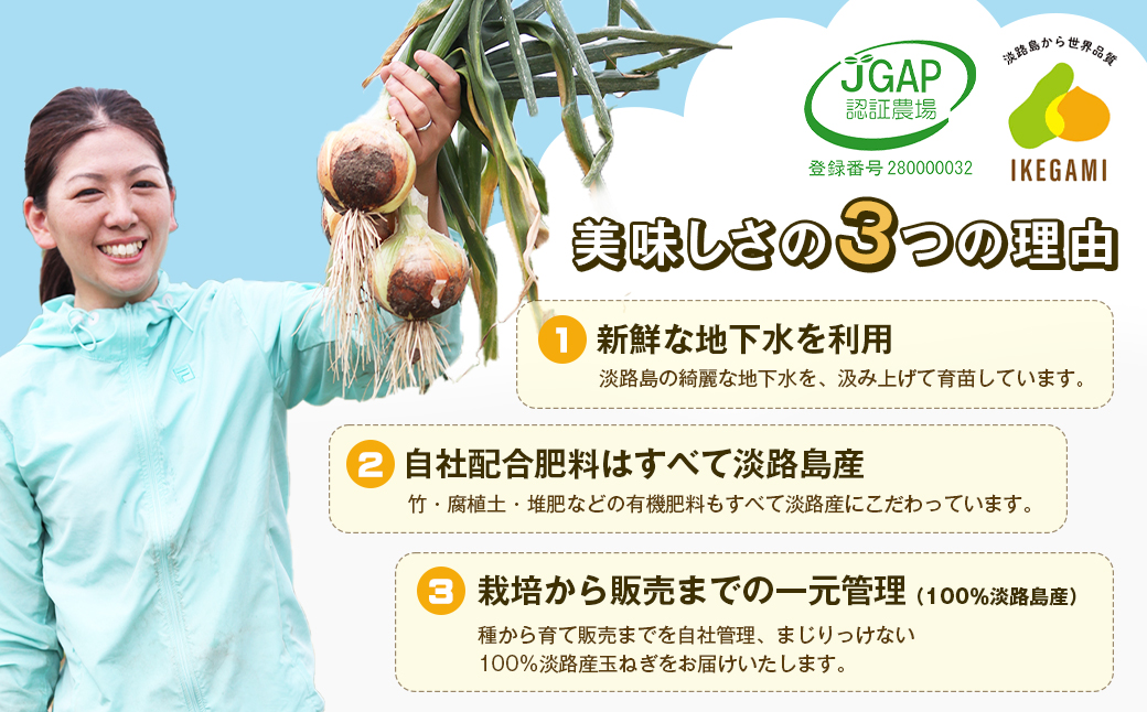 淡路島　池上農場の完熟たまねぎ「あやたけ」10kg　　[玉ね