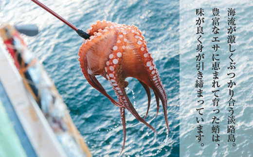 淡路島産地蛸使用　生たこ飯　２合用×３袋セット　　[蛸