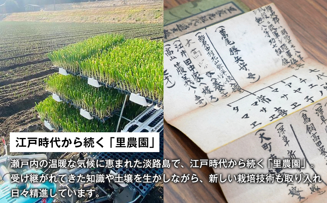 淡路島たまねぎ(5キロ)　玉ねぎ 産地直送 甘い