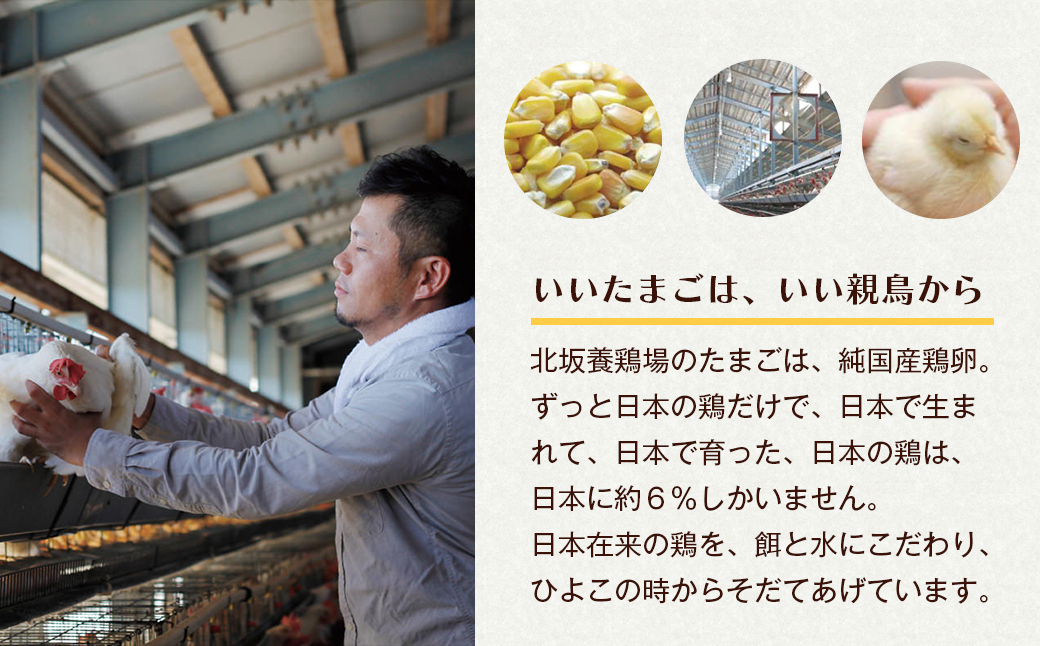 淡路島もみじ・淡路島さくら　詰め合わせ　　[たまご 鶏卵