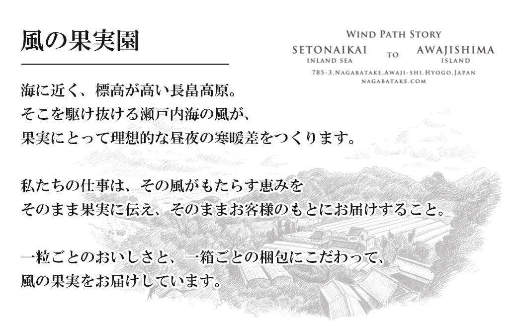 長畠高原苺園 朝採り大粒いちご【1月より順次出荷・お届け