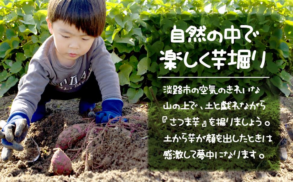 さつま芋堀り体験チケット2名様 【体験時期：9月20～11月20