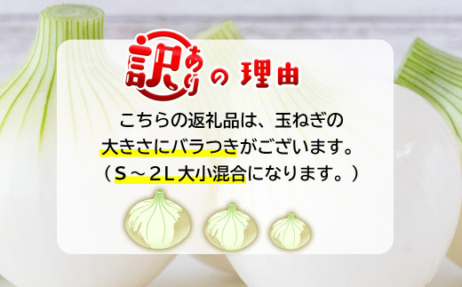 【新たまねぎ】【訳アリ】今井ファームの淡路島たまねぎ 5