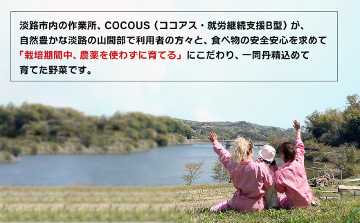 淡路島玉葱 5kg 【栽培期間中、無農薬栽培】サイズ混合SS～2