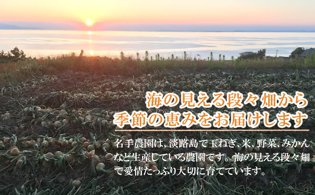 【新たまねぎ】名手農園の淡路島特産玉ねぎ 5kg【発送時期