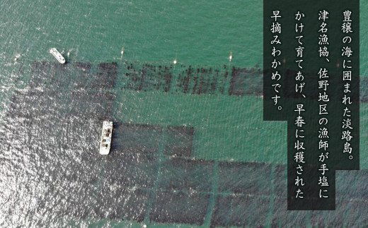 淡路島産 若芽わかめ 300ｇ×3袋【早摘みわかめ】