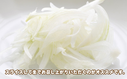 淡路島産　新たまねぎ　4ｋｇ【発送時期：2026年3月～5月頃