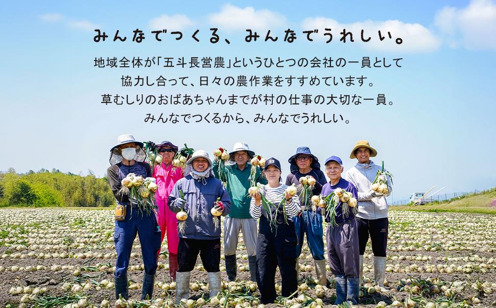 五斗長たまねぎ 20kg（20kg箱×1）　　[玉ねぎ 淡路島 玉葱]