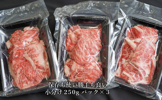 【定期便6ヶ月】 淡路牛 ロース切り落し 750g (250g×3パック)