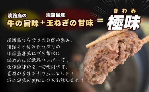 【定期便12ヶ月】淡路島 極味ハンバーグ 150g×12個　　[牛肉1