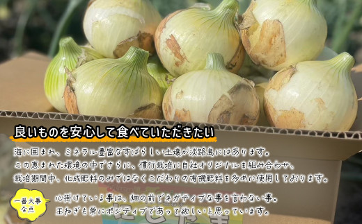 まるでフルーツ？！淡路島産ブランド新玉ねぎ 極早生 「に