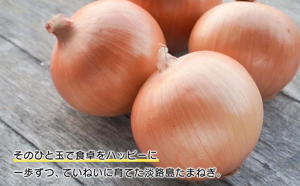 淡路島たまねぎ 歩-AYUMU-2kgと淡路島たまねぎ含有量50％ドレ