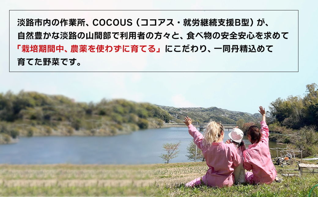 淡路島産 新玉ねぎ 10kg【栽培期間中、無農薬栽培】【訳あ