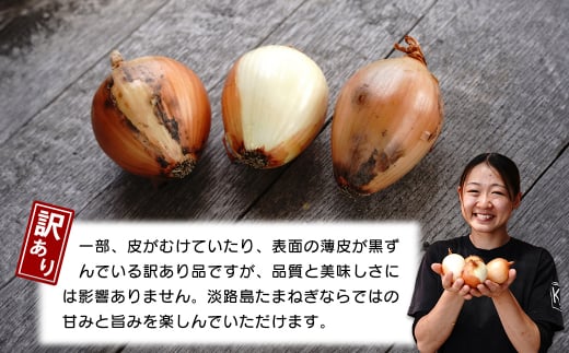 【訳あり】小さな淡路島たまねぎ 2Sサイズ 10kg　　[玉ねぎ 