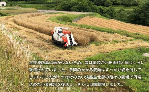 淡路市尾崎産　全粒粉小麦粉 詰合わせセット（やば恋(登録