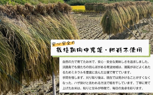 自然栽培　コシヒカリ（玄米）　5kg 《無選別品のため訳ア