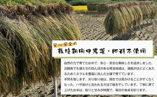 自然栽培　ひのひかり（玄米）　5kg 《無選別品のため訳ア