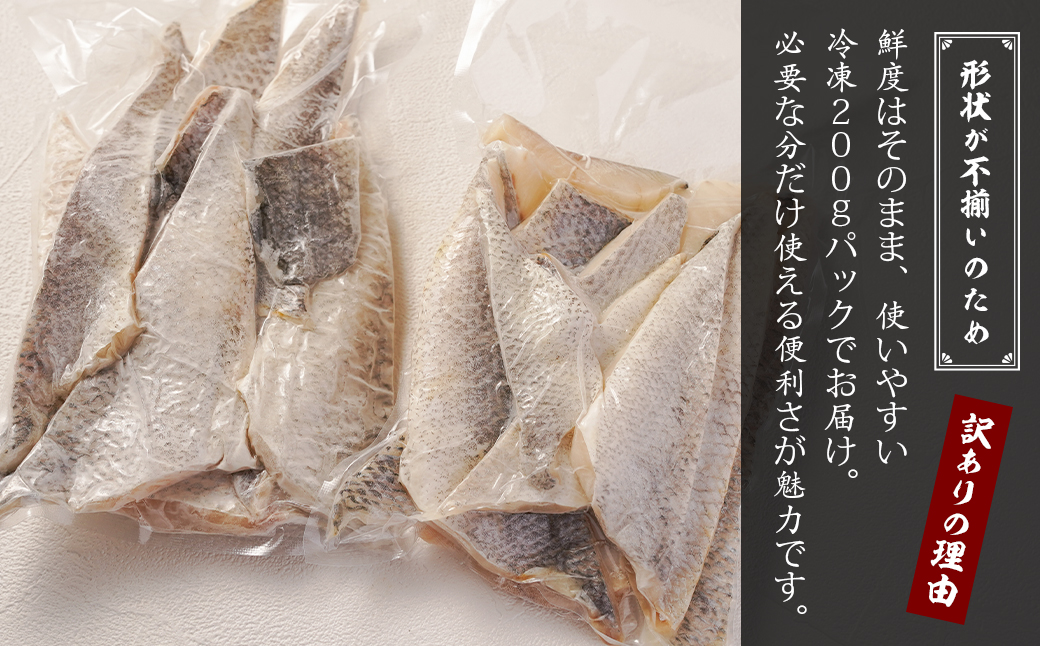 【訳アリ】淡路島産 スズキ切り落とし 1.2kg（200g×6パック）