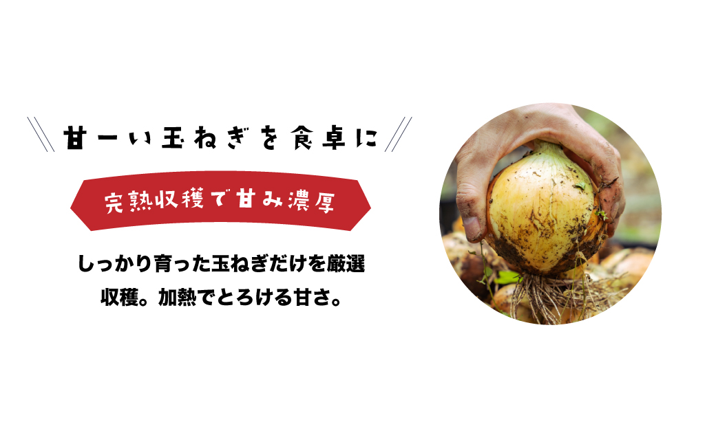 健幸農園の完熟淡路島産玉ねぎ 5kg　　[たまねぎ 産地直送 