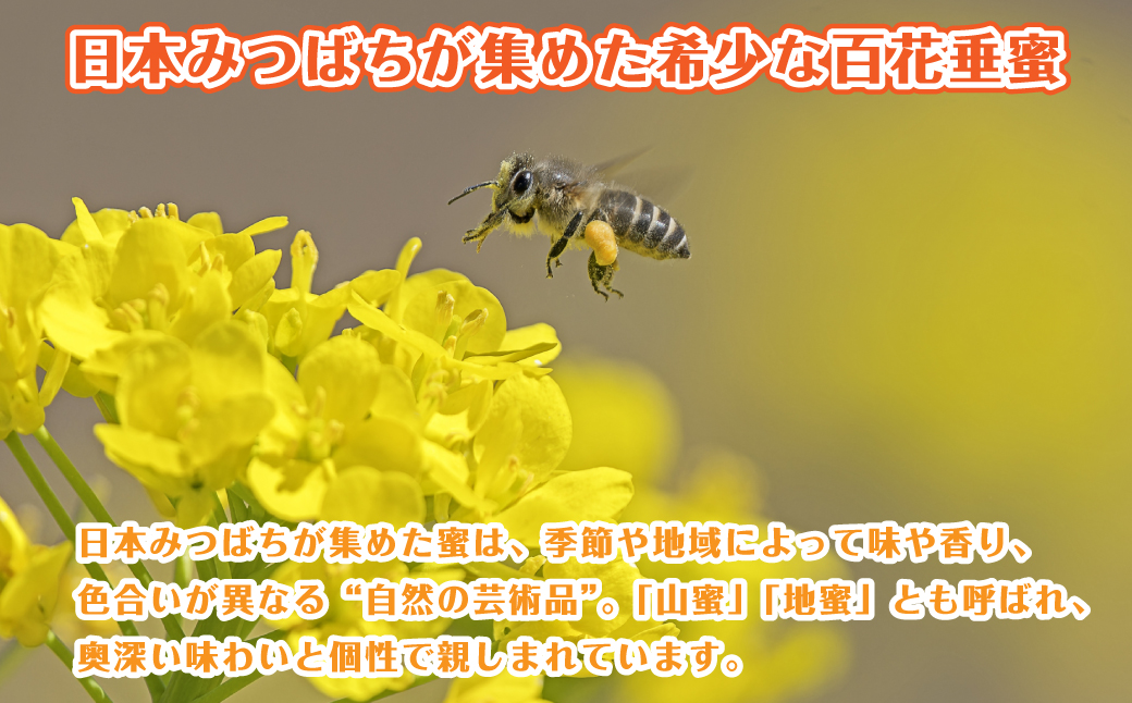 日本みつばちの百花垂蜜 150g×2個 保存料・着色料無添加 は