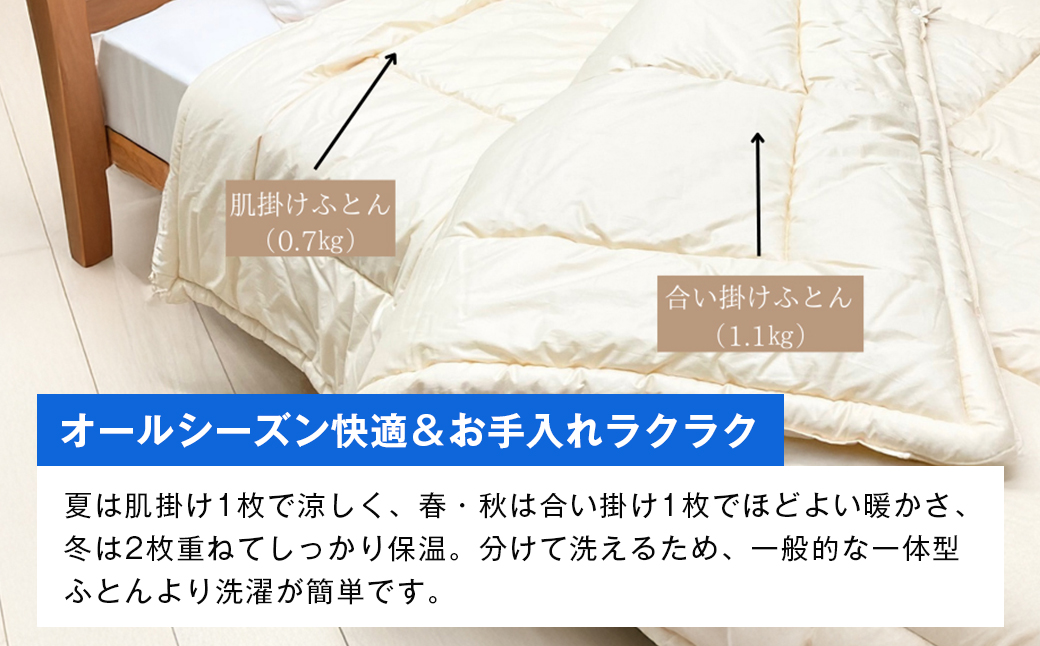 清潔掛ふとん 洗えるインビスタ ダクロン ２枚合わせ 日本