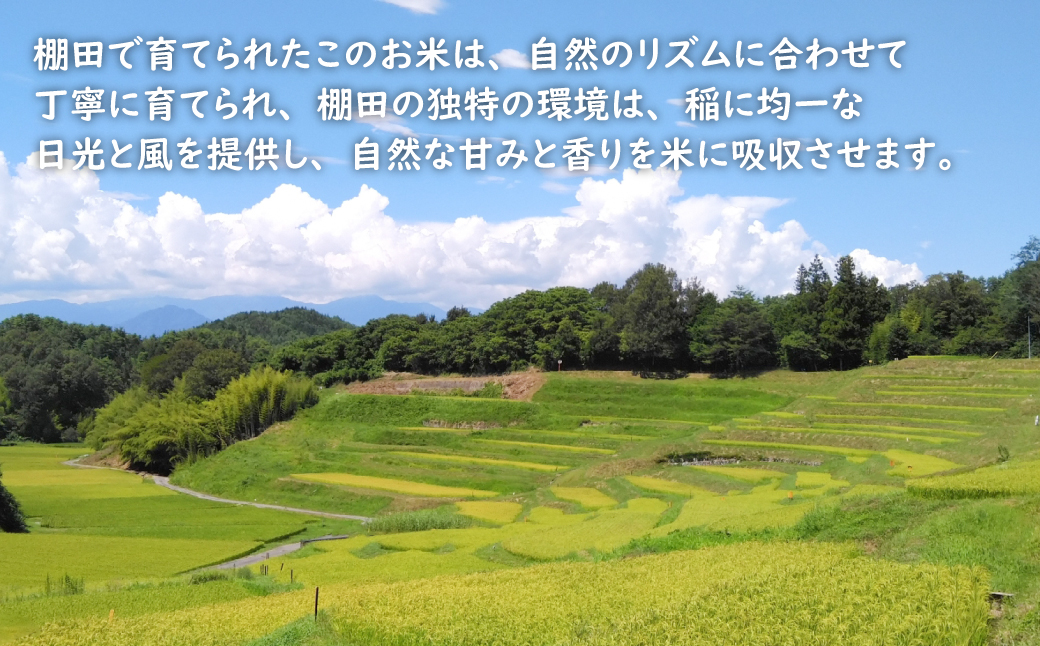 【定期便】健幸農園の棚田米 5kg×3ヵ月セット