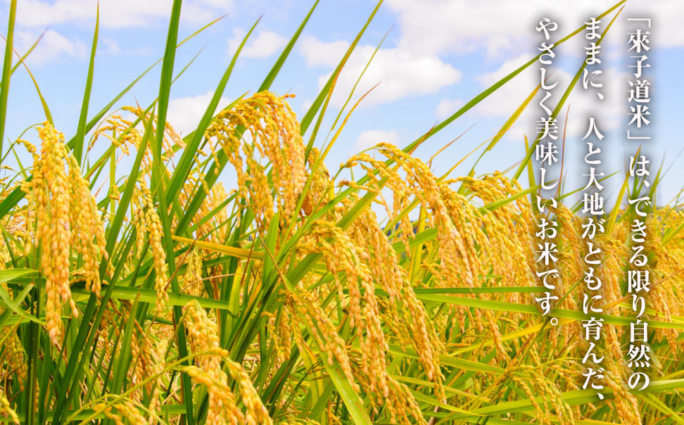 來子道米 ～きしどうまい～ 450g×3個 【栽培期間中、無農薬