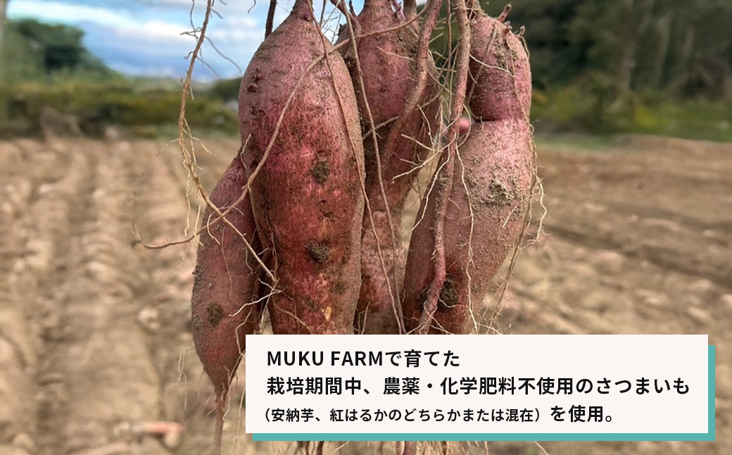 【淡路島産】冷凍焼き芋　2kg　不揃い【栽培期間中、農薬