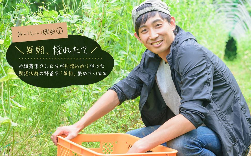 淡路島の旬の野菜セット（10～15種類程度）　　[野菜詰め合