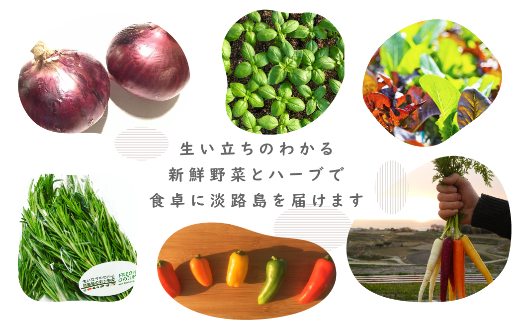フレッシュグループ淡路島彩り野菜と香るハーブセット　[