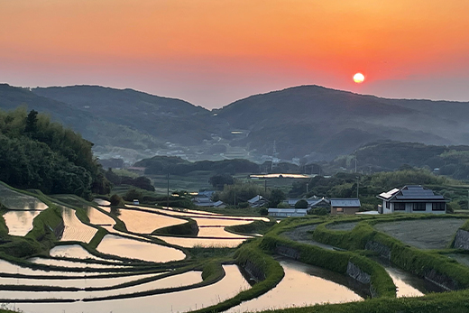 【定期便】淡路島の棚田米　5kg×12回（毎月発送）　精米 白