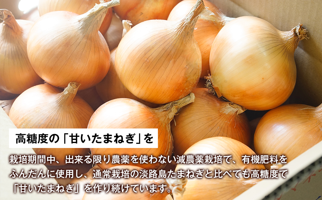 淡路島たまねぎ(5キロ)　玉ねぎ 産地直送 甘い