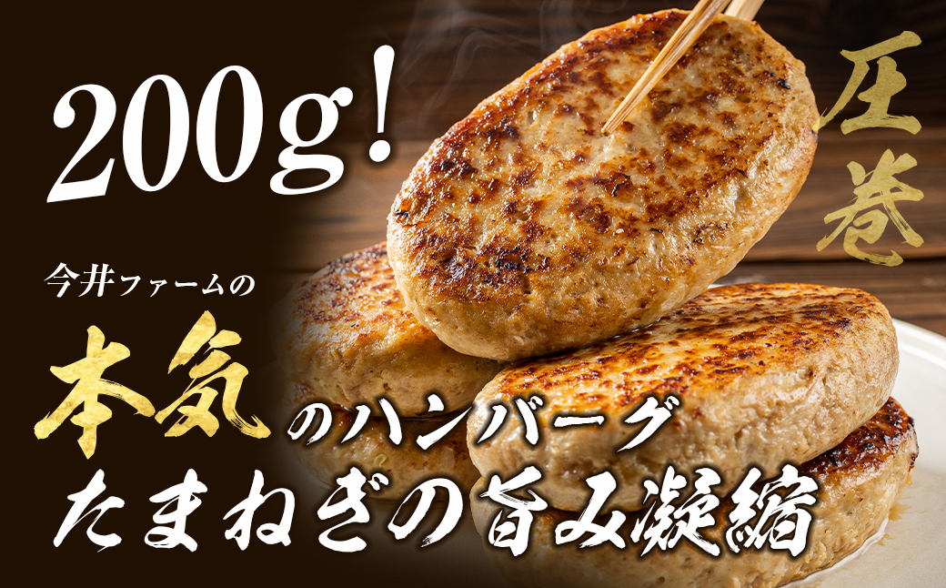 淡路島たまねぎどっさりジャンボハンバーグ 200g×25個　　[