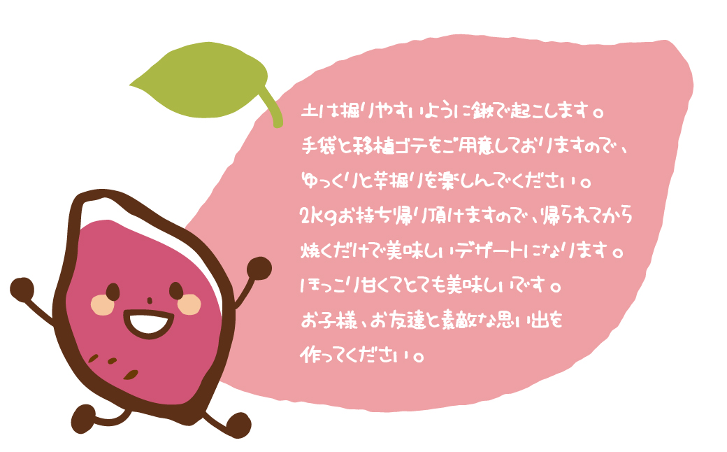 さつま芋堀り体験チケット2名様 【体験時期：9月20～11月20