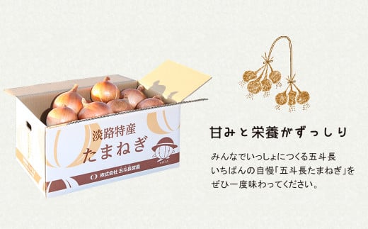 五斗長たまねぎ 10kg　　[玉ねぎ 淡路島 玉葱]