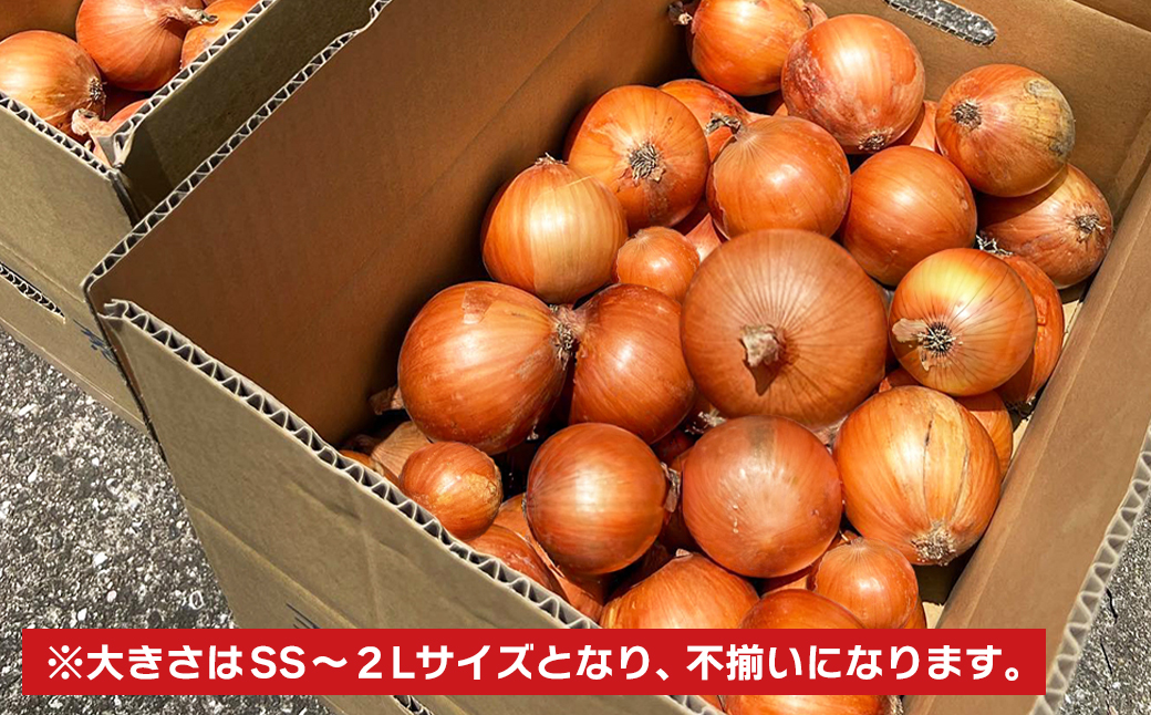 淡路島玉葱 5kg 【栽培期間中、無農薬栽培】サイズ混合SS～2