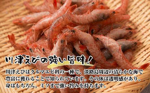 淡路島産 海老の唐揚げ（川津エビの唐揚げ） 1kg　えび 冷