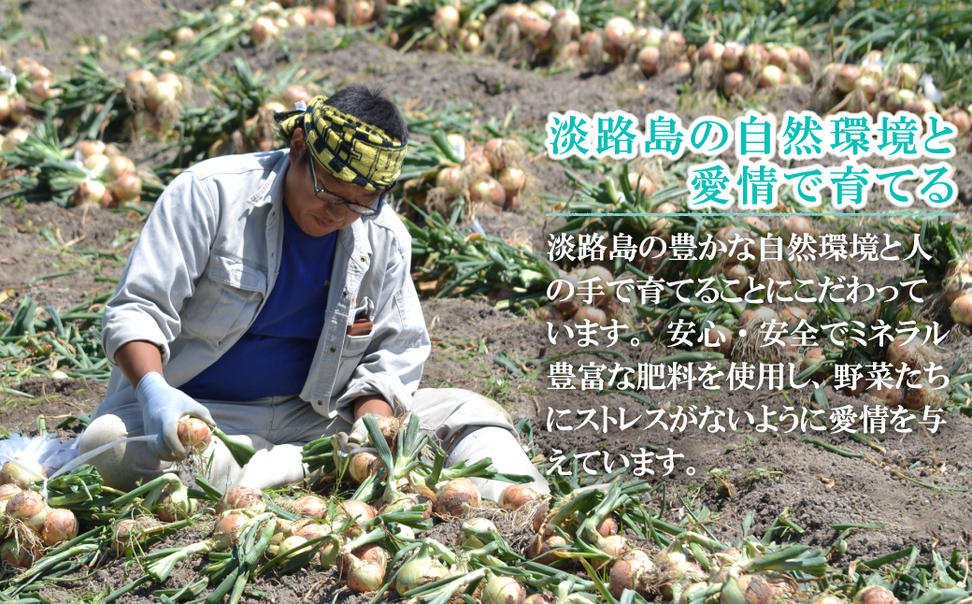 【新たまねぎ】名手農園の淡路島特産玉ねぎ 5kg【発送時期