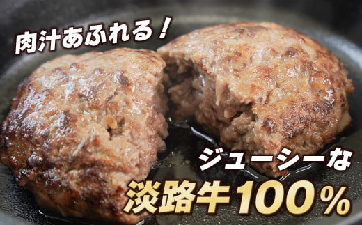 【定期便6ヶ月】淡路島 極味ハンバーグ 150g×12個　　[牛肉10