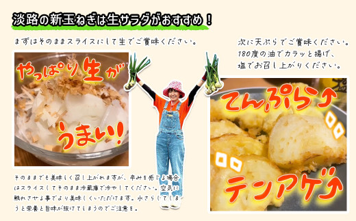 まるでフルーツ？！淡路島産ブランド新玉ねぎ 極早生 「に