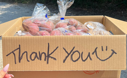 淡路島産じゃがいもセット 5kg【栽培期間中、無農薬栽培】