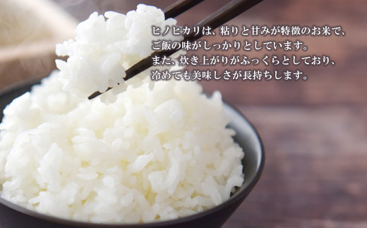 名手農園の淡路島産ヒノヒカリ 10kg　[精米 白米]