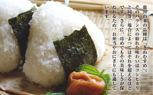 【定期便12ヶ月】龍宮の米 淡路島産 海藻肥料栽培米 5.0kg×12