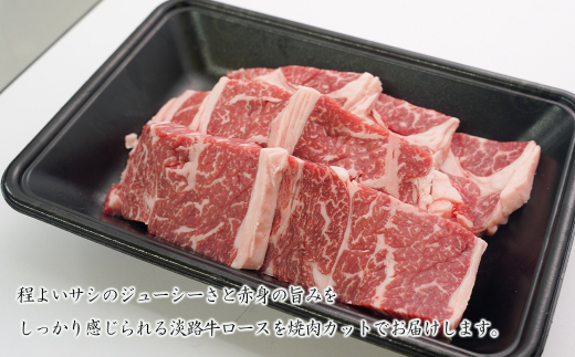 淡路牛ロース焼肉 500g（250g×2PC）　　[冷凍 霜降り 焼肉セッ