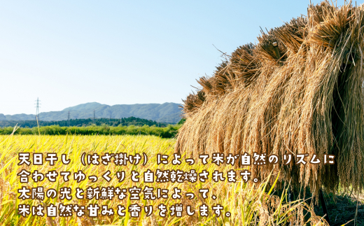 健幸農園の天日干し米5kg　[精米 白米]